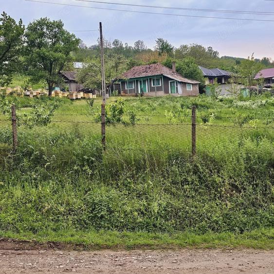 Casă cu 2 camere cu Teren 5000 Mp în Roșu