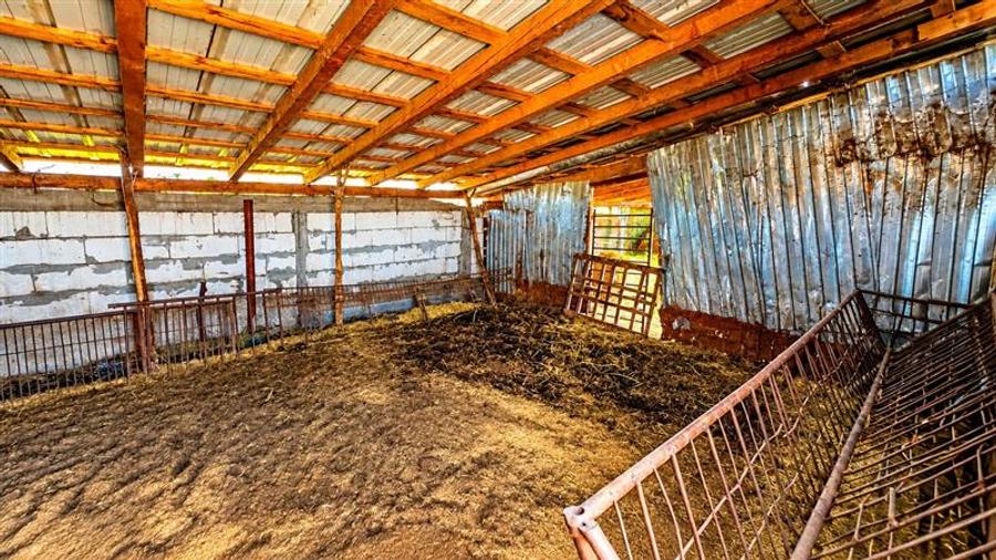 Teren Construcții intravilan de 3300 mp, în Periferie