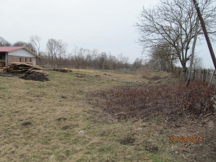 Proprietate specială, de 200 mp, în Gurghiu