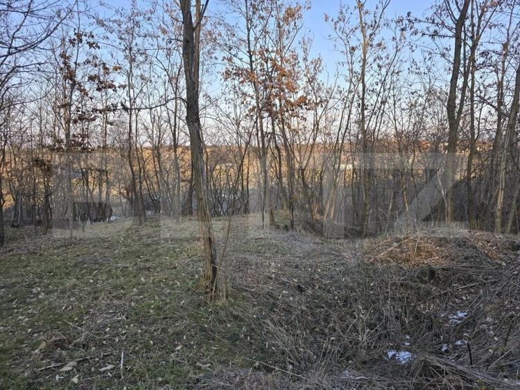 Teren Construcții intravilan de 79000 mp, în Sud
