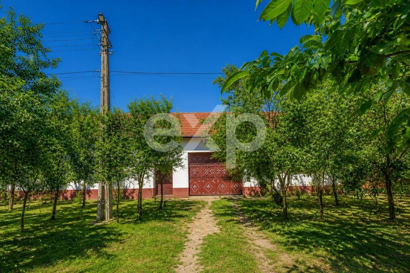 Casă individuală cu 4 camere cu Teren 2993 Mp în Drăgoiești