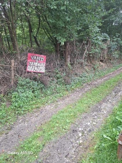 Spațiu comercial, în Valea