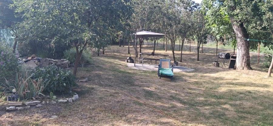Casă cu 3 camere în Borșa