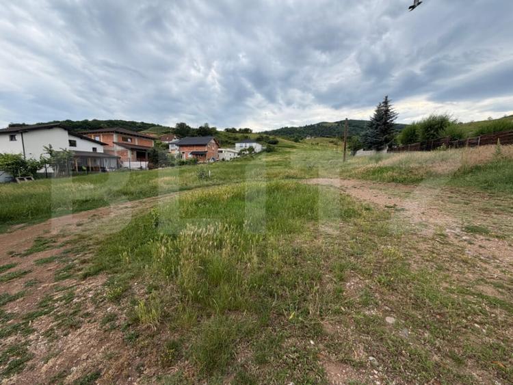 Teren intravilan 3.624 mp oportunitate excelenta pentru - 1