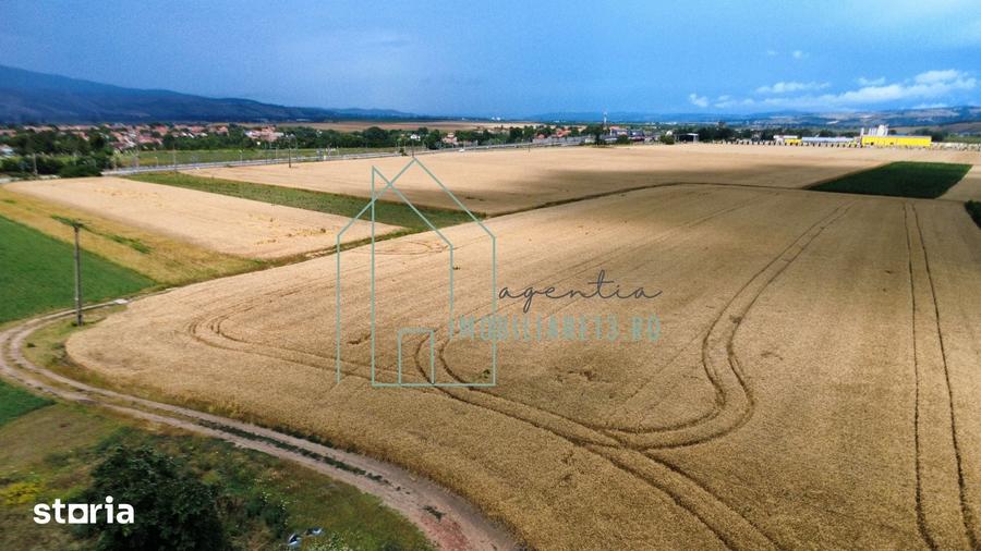 Teren de 2900 mp, în Vințu de Jos