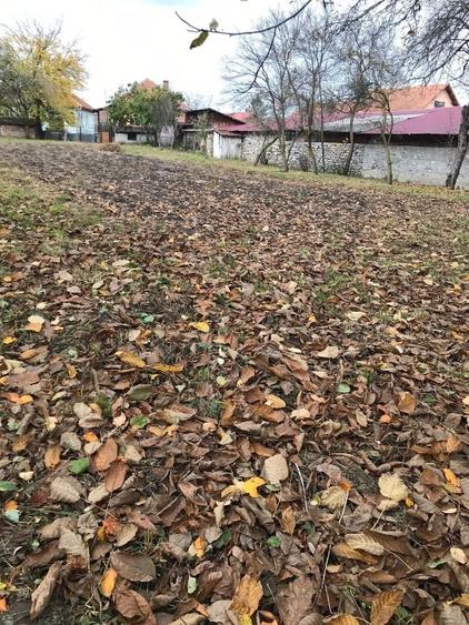 Casă individuală cu 4 camere cu Teren 1350 Mp în Pui