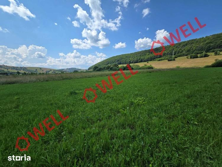 Teren de 3450 mp, în Valea Mare