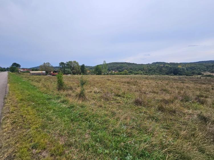 Teren Construcții intravilan de 47430 mp, în Petriș