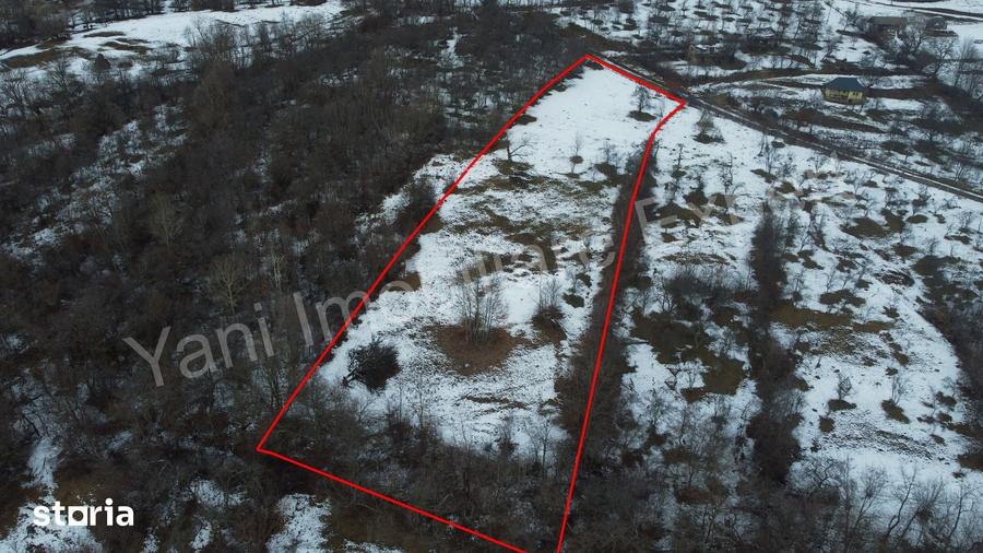 Teren de 4377 mp, în Bradu