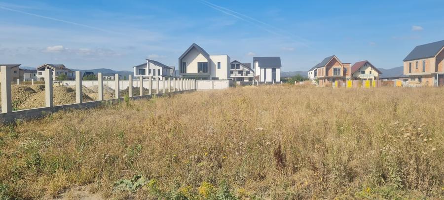 Teren Construcții intravilan de 1000 mp, în Cristian