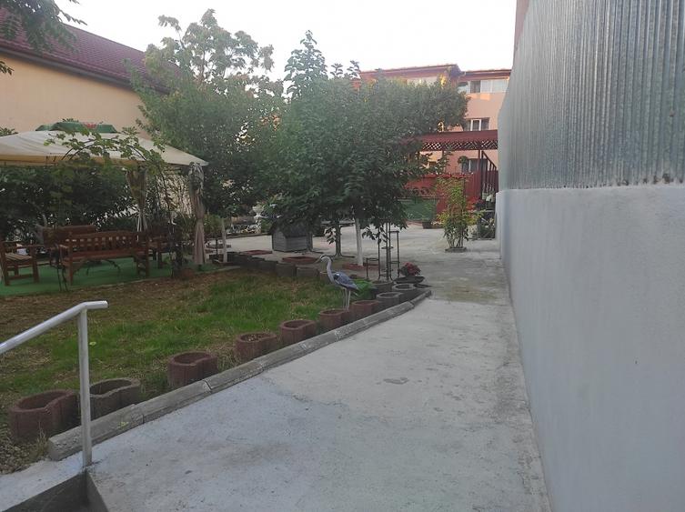 Casă individuală cu 9 camere cu Piscina în Dristor