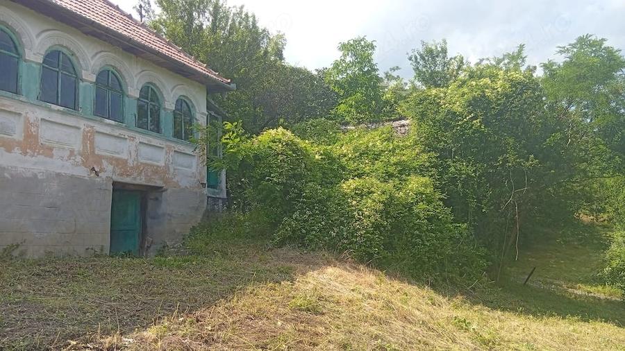 Casă cu Teren 9515 Mp în Dăești