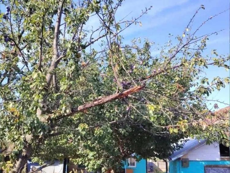 Casă individuală cu 4 camere cu Teren 1400 Mp în Tencănău