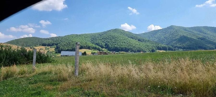 Teren de 5000 mp, în Gura Râului