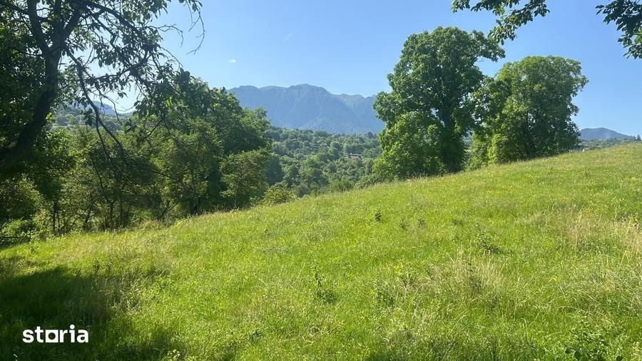 Teren de 2951 mp, în Bran