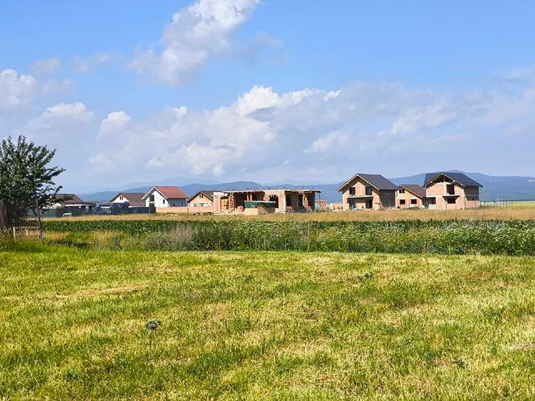 Teren Construcții intravilan de 507 mp, în Cristian