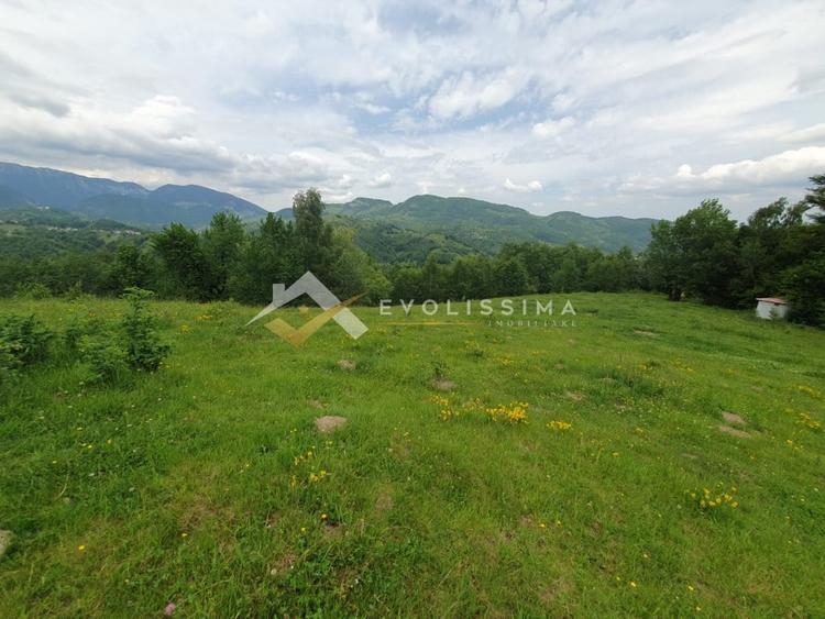 Teren Construcții intravilan de 11396 mp, în Moieciu de Jos