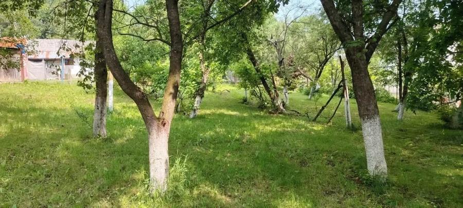 Casă cu Teren 8266 Mp în Central