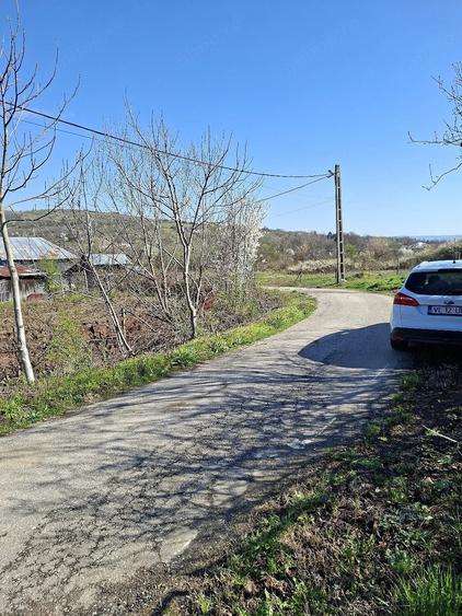 Teren de 2600 mp, în Dobrușa