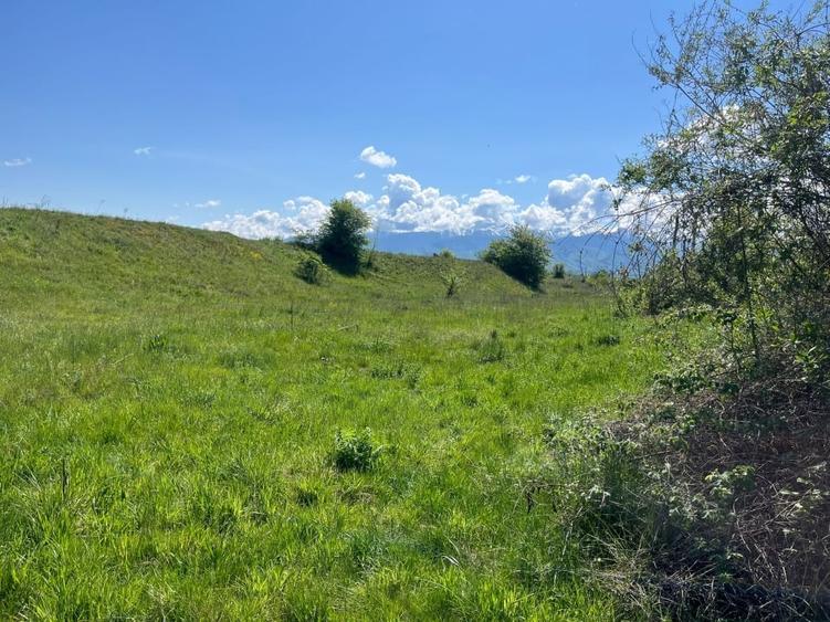 Teren Construcții intravilan de 3000 mp, în Central