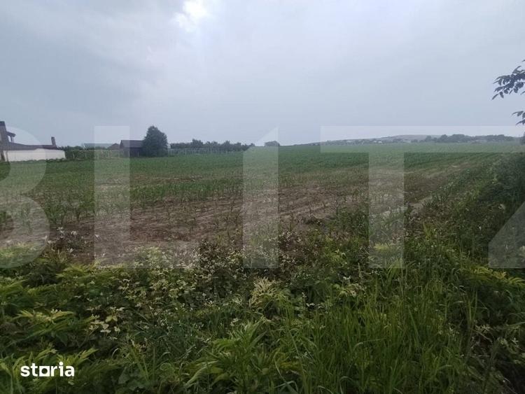 Teren de 7500 mp, în Curtești