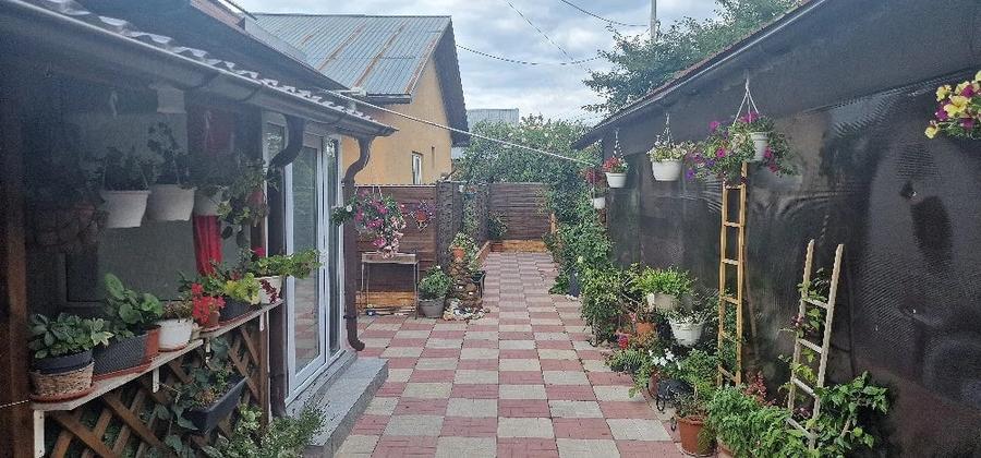 Casă cu Teren 250 Mp în Central