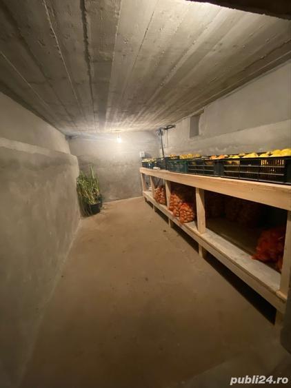Casă cu 2 camere cu Teren 2200 Mp în Gostavățu