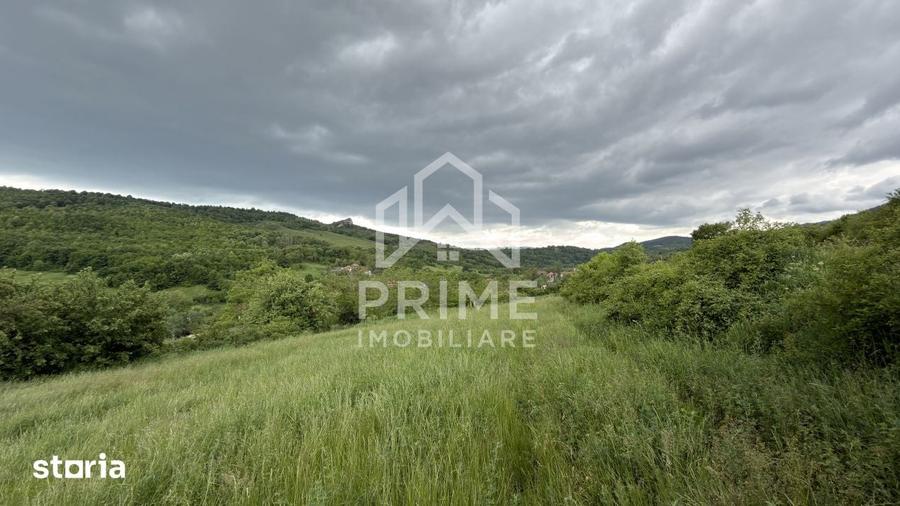 Teren de 4000 mp, în Cricău