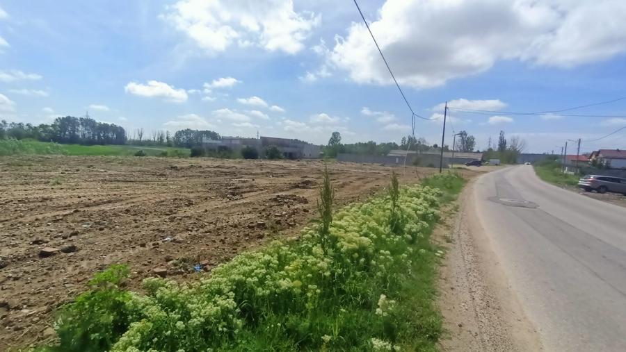 Teren de 5000 mp, în Balș