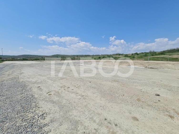 Teren Construcții intravilan de 40000 mp, în Teiuș