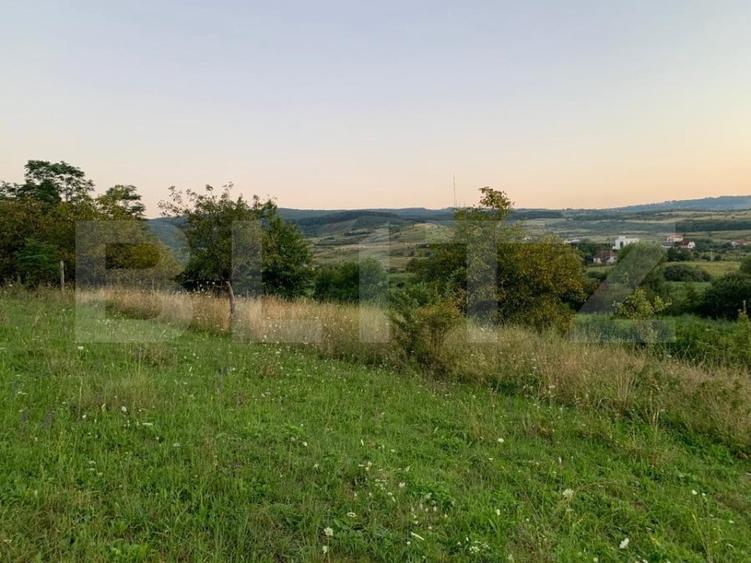 Teren Construcții intravilan de 17995 mp, în Sopor