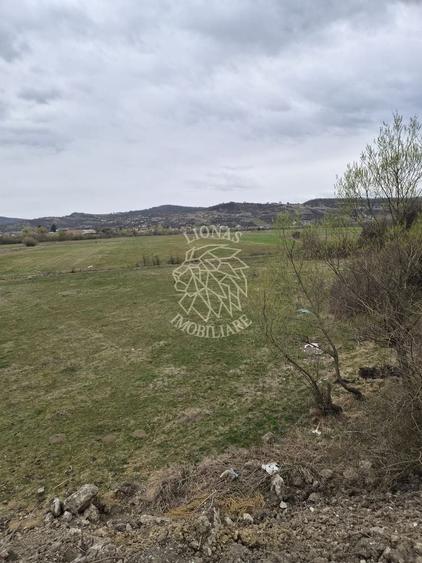Teren extravilan de 1100 mp, în Sud