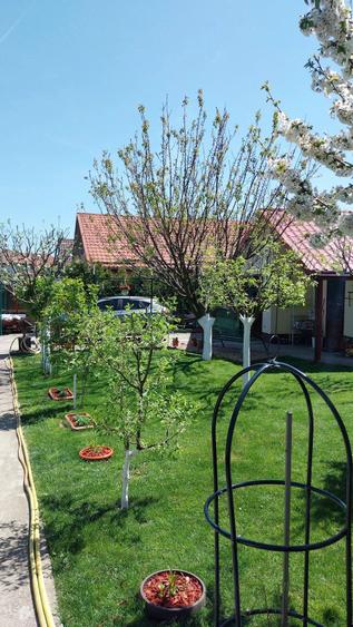 Casă cu Teren 527 Mp în Mânăstirea
