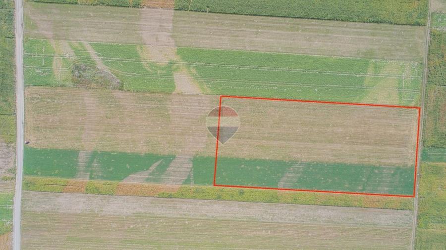 Teren agricol extravilan de 14750 mp, în Prejmer