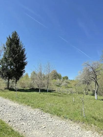 Teren de 4193 mp, în Breb