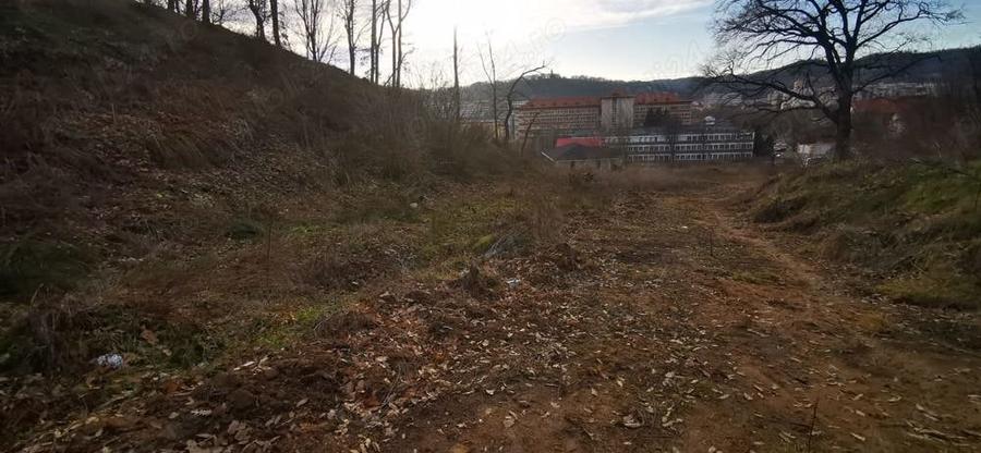 Teren Spitalul judetean pret redus 50% 5300 mp 15 euro negociabil - 6