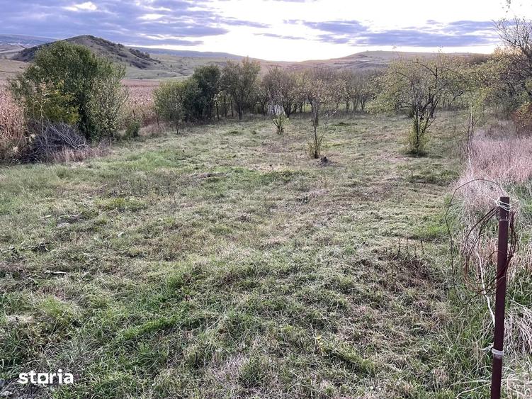 Teren de 833 mp, în Apahida