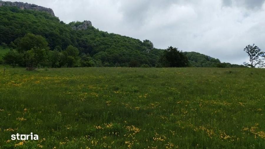 Teren de 10000 mp, în Cornereva