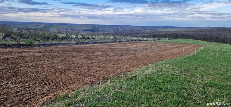 Teren de 3000 mp, în Săldăbagiu de Munte