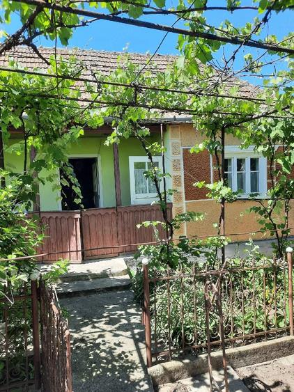 Casă cu Teren 15 Mp în Central