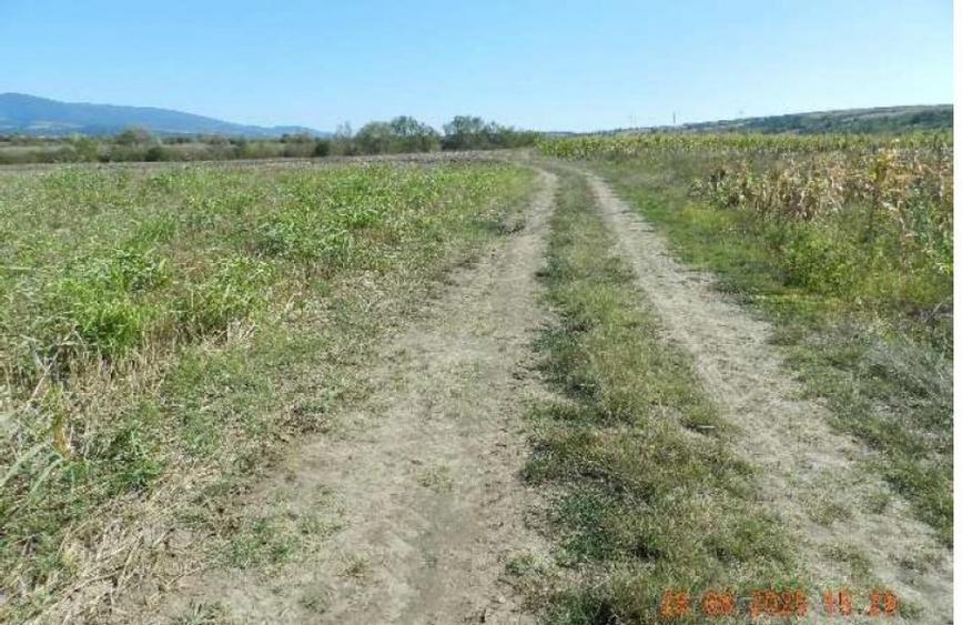 Teren extravilan arabil, situat in Oravita, Jud Caras-Sev... - 1