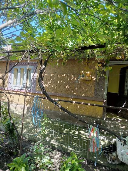Casă cu Teren 2500 Mp în Rași