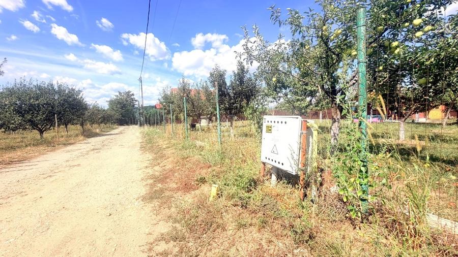 Teren Construcții intravilan de 982 mp, în Turcinești