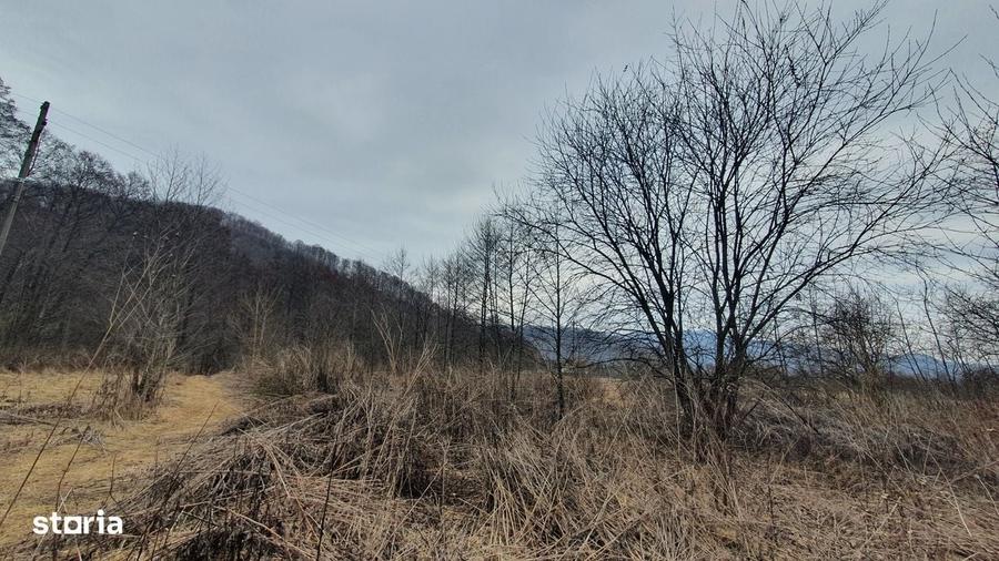 Teren de 2800 mp, în Sovata