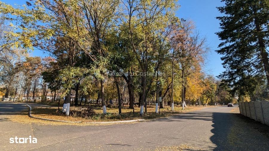 Teren 19.470 mp, investitie ideala, Green City -1 Decembrie, Ilfov