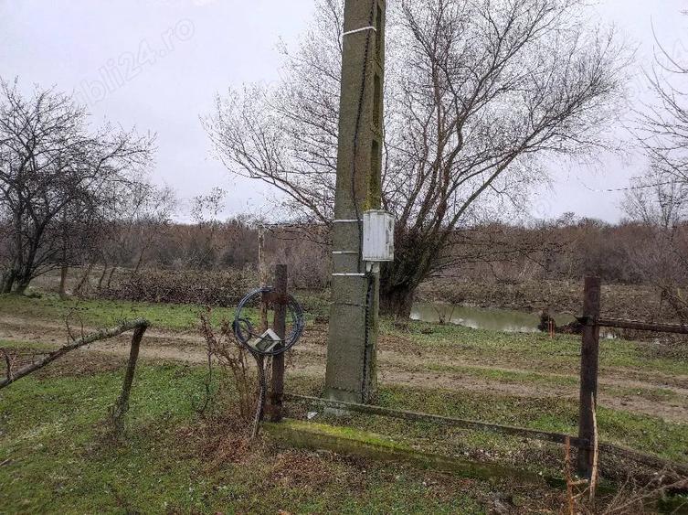 Teren de 8140 mp, în Băltenii de Jos