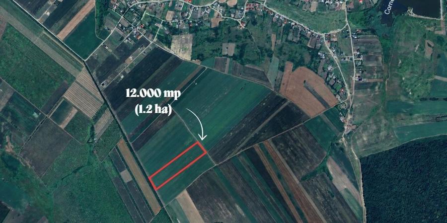 Teren agricol extravilan de 12000 mp, în Proselnici