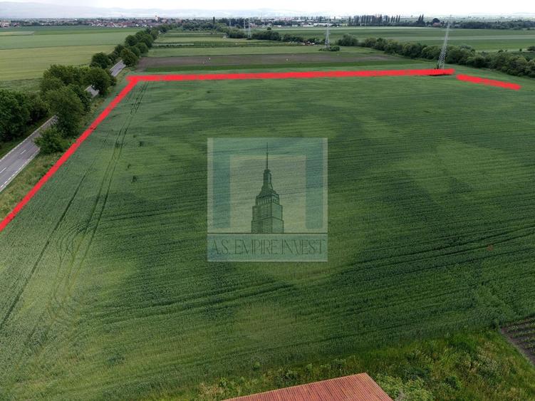 Teren Construcții intravilan de 50000 mp, în Hălchiu