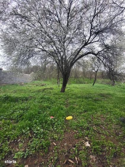Oportunitate!!! Casa De Vanzare In Calnic La 35.000 Euro - 2