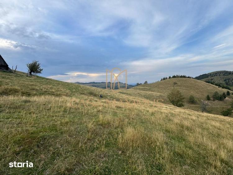 Teren de 14526 mp, în Gura Râului